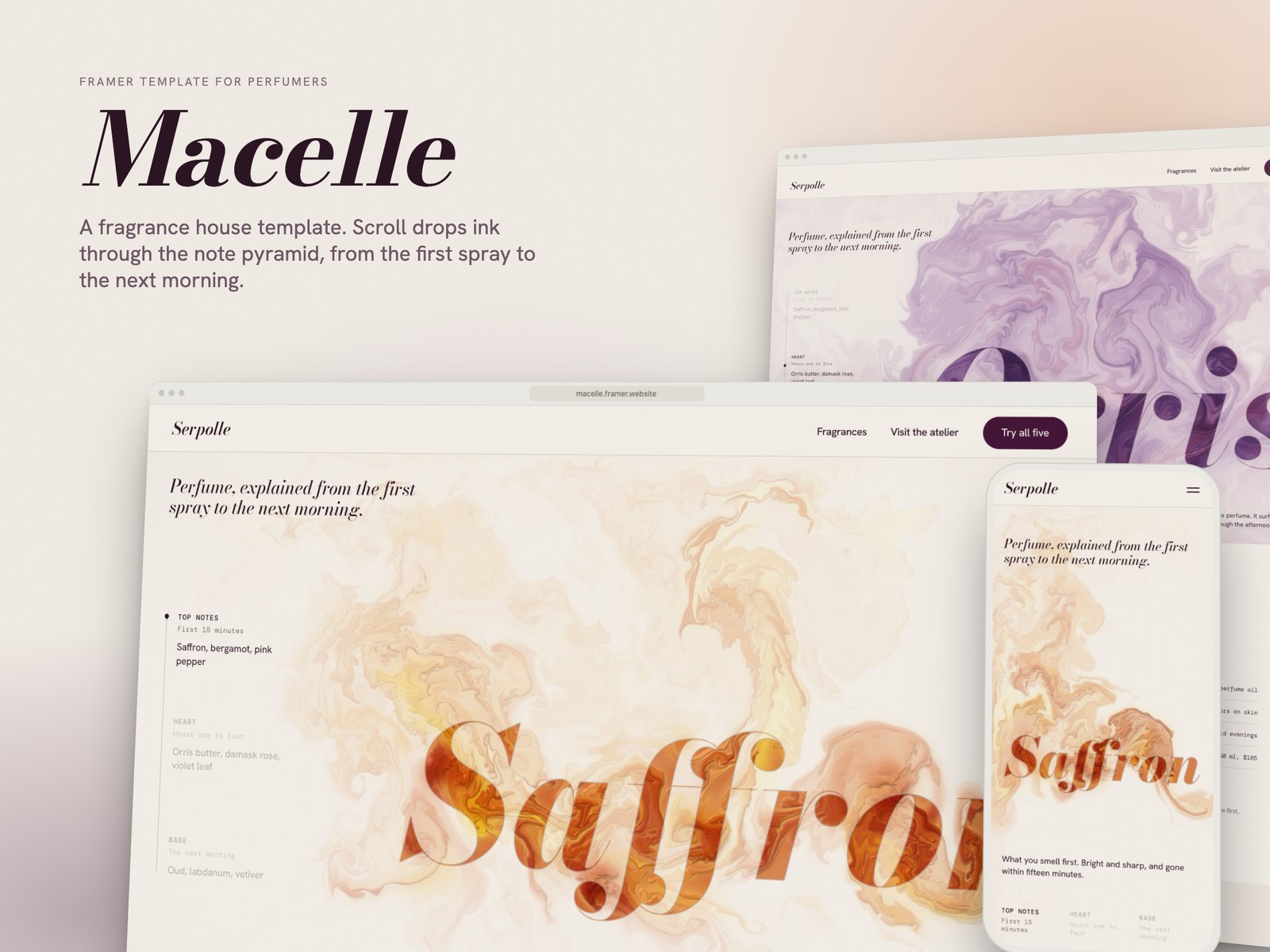 Macelle Framer template